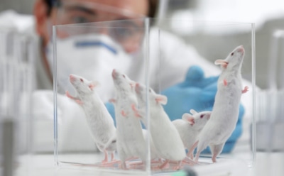 Учеными найдено вещество для снижения навязчивого желания пить