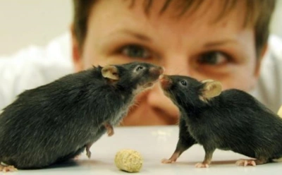 Ученые: за выходные можно похудеть без тренировок