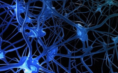 Ученые создали портреты несуществующих людей с помощью нейросетей