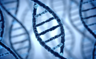 Биохакер вживил части текста Библии и Корана себе в колено