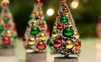 Как звезды готовятся встретить Новый 2019 год