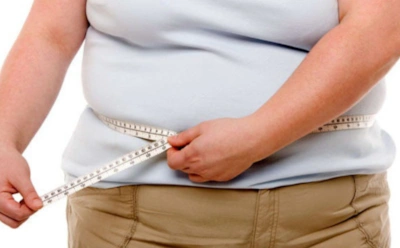 Ученые: наличие лишнего веса связано с усыханием мозга