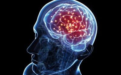 Ученые: склонность к курению и алкоголизму вызывают нарушения в мозге