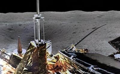 На Луне дали ростки семена хлопка, высаженные китайским роботом