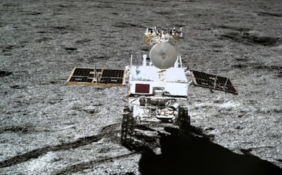 Погибло первое в истории растение на Луне