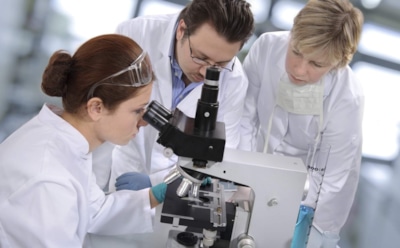 Российские ученые научились выращивать мини-мозги