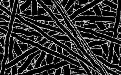 "Вызывающее физическую боль" видео опубликовано в Сети