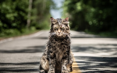 Вышел новый трейлер фильма ужасов «Кладбище домашних животных»