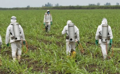 Ученые: глифосат повышает риск рака на 40%