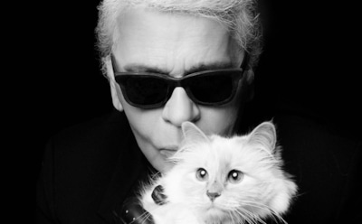 Кошка умершего Карла Лагерфельда может стать миллионером