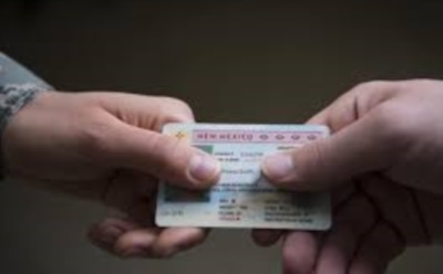 В РФ водительское удостоверение станет электронным