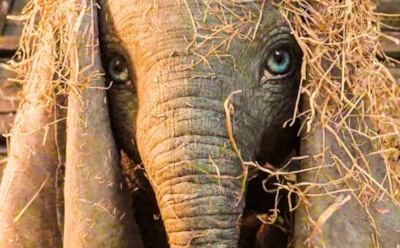 Arcade Fire перепела песню из мультфильма «Дамбо» для ремейка Тима Бертона