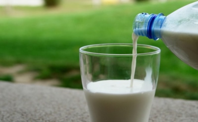Медики: молоко может навредить желудку взрослого человека