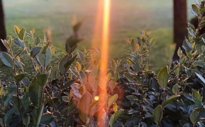 Погода в Москве: синоптики рассказали о пике потепления 9 марта