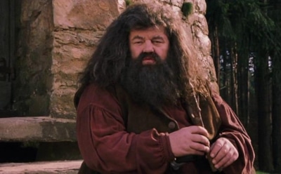 Хагрид из «Гарри Поттера» не может ходить без посторонней помощи