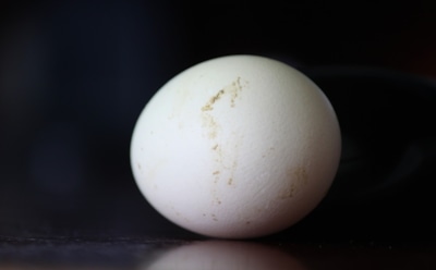 Ученые: яйца могут вызвать болезни сердца