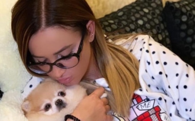 7 звезд, которые ведут аккаунт в Instagram от имени своих питомцев