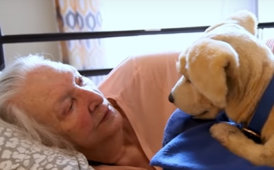 В США для пожилых людей создали робота-щенка