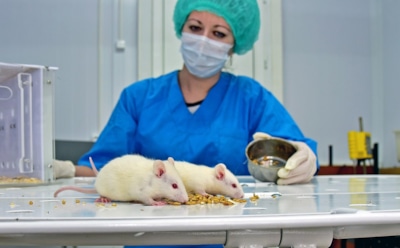 Ученые: классическая музыка влияет на эффект обезболивающих