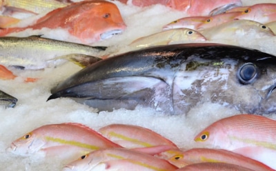 Ученые: употребление рыбы замедлит старение