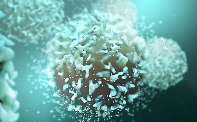 Иммунитет человека научили бороться с раком