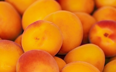 Врач: абрикосы полезны для печени