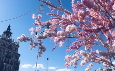 Синоптики дали прогноз погоды в Москве на Пасху