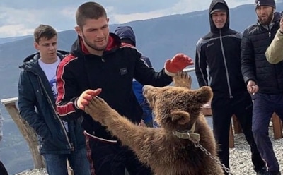 Хабиб Нурмагомедов устроил шуточный спарринг с медведем