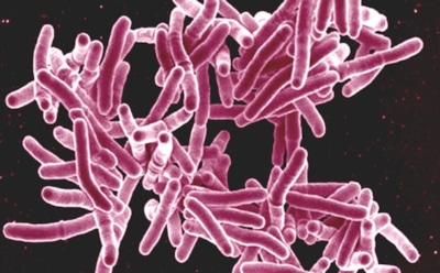 Ученые нашли способ уничтожения двойной защиты бактерий от антибиотиков