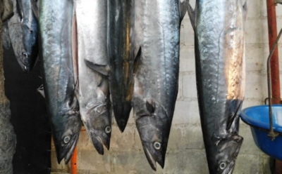 Медик: употребление рыбы спасет от болезней сердца