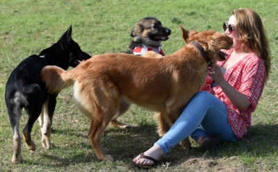 Ученые: за склонность к содержанию собак отвечает ДНК