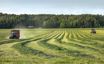 В Вашингтоне разрешили перерабатывать тела усопших в удобрения