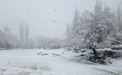 На Ямал обрушился майский снегопад