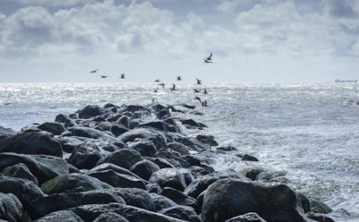 В Северном море найден затонувший доисторический мир