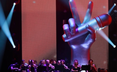 Эксперты объяснили технологию накрутки голосов в финале «Голос. Дети»