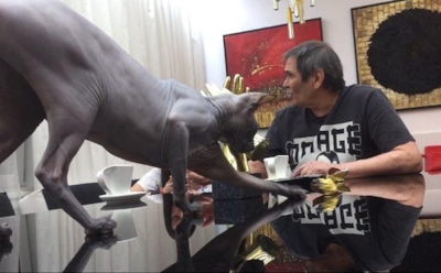 За сбежавшего кота Алибасова предлагают 800 тыс руб