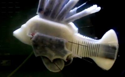 Ученые создали рыбу-робота с синтетической кровью