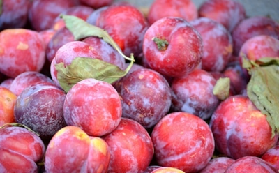 Врач-диетолог назвала фрукты и ягоды, замедляющие старение