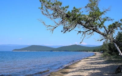 Воду на Байкале признали токсичной