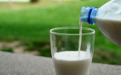 Ученые: молоко препятствует раку и диабету