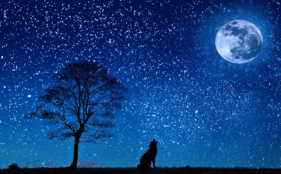 Гороскоп на неделю с 15 по 21 июля: избегать личной выгоды