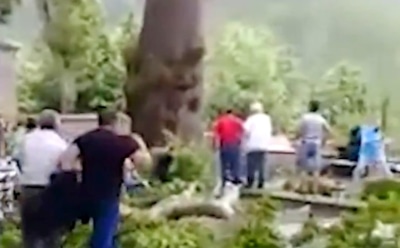 В Азербайджане пострадали россияне от падения ветки 500-летнего дерева