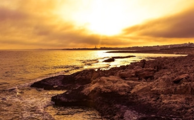 В Гидрометцентре сообщили о приходе 36-градусной жары