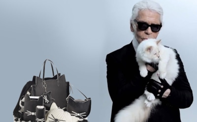 7 самых известных "кошатников" среди звезд