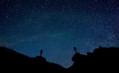 Гороскоп на неделю с 9 по 15 сентября для Водолея