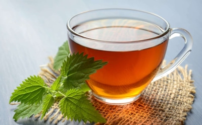 Ученые: употребление чая улучшает здоровье мозга