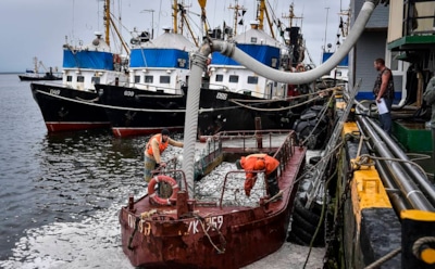 Названа самая высокооплачиваемая вакансия в России