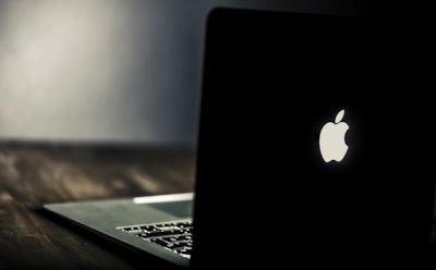 4 блогера, ставших популярными в 2019 году