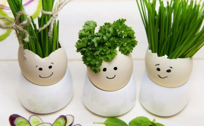 Что такое палеодиета: польза и вред