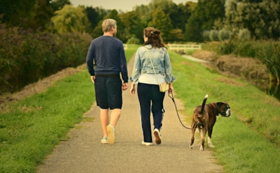 6 причин не отказываться от ежедневной прогулки